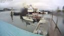 ./images/quadra/hbidock/20240302/hbidock20240302_143502M.jpg
