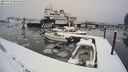 ./images/quadra/hbidock/20240303/hbidock20240303_105731M.jpg