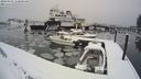 ./images/quadra/hbidock/20240303/hbidock20240303_110000M.jpg