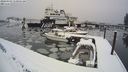 ./images/quadra/hbidock/20240303/hbidock20240303_110001M.jpg