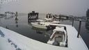 ./images/quadra/hbidock/20240303/hbidock20240303_113501M.jpg