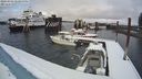 ./images/quadra/hbidock/20240303/hbidock20240303_143000M.jpg