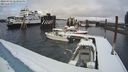 ./images/quadra/hbidock/20240303/hbidock20240303_143002M.jpg