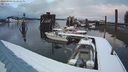 ./images/quadra/hbidock/20240303/hbidock20240303_173001M.jpg