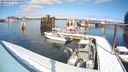 ./images/quadra/hbidock/20240304/hbidock20240304_131500M.jpg