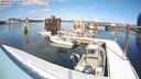 ./images/quadra/hbidock/20240304/hbidock20240304_134501M.jpg