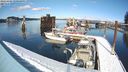 ./images/quadra/hbidock/20240304/hbidock20240304_140000M.jpg