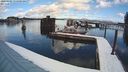 ./images/quadra/hbidock/20240305/hbidock20240305_111500M.jpg