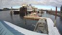 ./images/quadra/hbidock/20240305/hbidock20240305_163000M.jpg