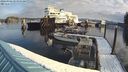 ./images/quadra/hbidock/20240306/hbidock20240306_085000M.jpg