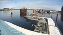 ./images/quadra/hbidock/20240306/hbidock20240306_102002M.jpg