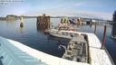 ./images/quadra/hbidock/20240306/hbidock20240306_102500M.jpg