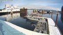 ./images/quadra/hbidock/20240306/hbidock20240306_104500M.jpg