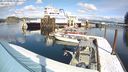 ./images/quadra/hbidock/20240306/hbidock20240306_124500M.jpg