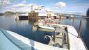 ./images/quadra/hbidock/20240306/hbidock20240306_125500M.jpg