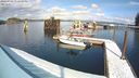 ./images/quadra/hbidock/20240306/hbidock20240306_132500M.jpg