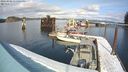 ./images/quadra/hbidock/20240306/hbidock20240306_135502M.jpg