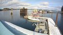 ./images/quadra/hbidock/20240306/hbidock20240306_140000M.jpg