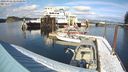 ./images/quadra/hbidock/20240306/hbidock20240306_144000M.jpg