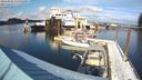 ./images/quadra/hbidock/20240306/hbidock20240306_150501M.jpg