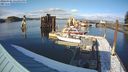 ./images/quadra/hbidock/20240306/hbidock20240306_161001M.jpg