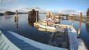 ./images/quadra/hbidock/20240306/hbidock20240306_163500M.jpg