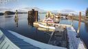 ./images/quadra/hbidock/20240306/hbidock20240306_164001M.jpg