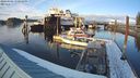 ./images/quadra/hbidock/20240306/hbidock20240306_170500M.jpg