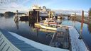 ./images/quadra/hbidock/20240306/hbidock20240306_170501M.jpg