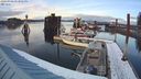 ./images/quadra/hbidock/20240306/hbidock20240306_173501M.jpg