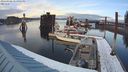 ./images/quadra/hbidock/20240306/hbidock20240306_174001M.jpg