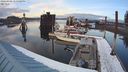 ./images/quadra/hbidock/20240306/hbidock20240306_175000M.jpg