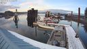 ./images/quadra/hbidock/20240306/hbidock20240306_175001M.jpg