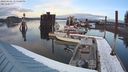 ./images/quadra/hbidock/20240306/hbidock20240306_175500M.jpg