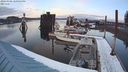 ./images/quadra/hbidock/20240306/hbidock20240306_180501M.jpg