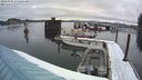 ./images/quadra/hbidock/20240307/hbidock20240307_072501M.jpg