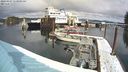 ./images/quadra/hbidock/20240307/hbidock20240307_113501M.jpg