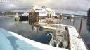 ./images/quadra/hbidock/20240307/hbidock20240307_114001M.jpg