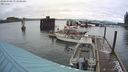 ./images/quadra/hbidock/20240308/hbidock20240308_073501M.jpg