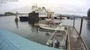 ./images/quadra/hbidock/20240308/hbidock20240308_091500M.jpg