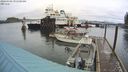 ./images/quadra/hbidock/20240308/hbidock20240308_091501M.jpg