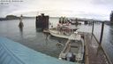 ./images/quadra/hbidock/20240308/hbidock20240308_100501M.jpg