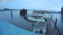 ./images/quadra/hbidock/20240309/hbidock20240309_065501M.jpg