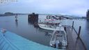 ./images/quadra/hbidock/20240309/hbidock20240309_070501M.jpg