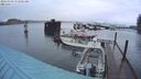 ./images/quadra/hbidock/20240309/hbidock20240309_071501M.jpg