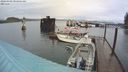 ./images/quadra/hbidock/20240309/hbidock20240309_091501M.jpg
