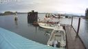 ./images/quadra/hbidock/20240309/hbidock20240309_093001M.jpg