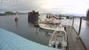 ./images/quadra/hbidock/20240309/hbidock20240309_104001M.jpg
