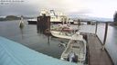 ./images/quadra/hbidock/20240309/hbidock20240309_104501M.jpg