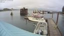 ./images/quadra/hbidock/20240309/hbidock20240309_114001M.jpg